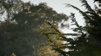 The Traitors NZ S03E01 WEB-DL H264-W4114813s