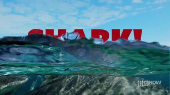 Shark! S01E02-HDTV-X264-NGP
