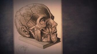 Mysteries Of Ancient Medicine S01E09 WEB H264-RBB
